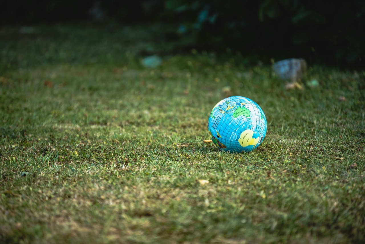 sustainability world