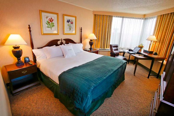 hotels12 8